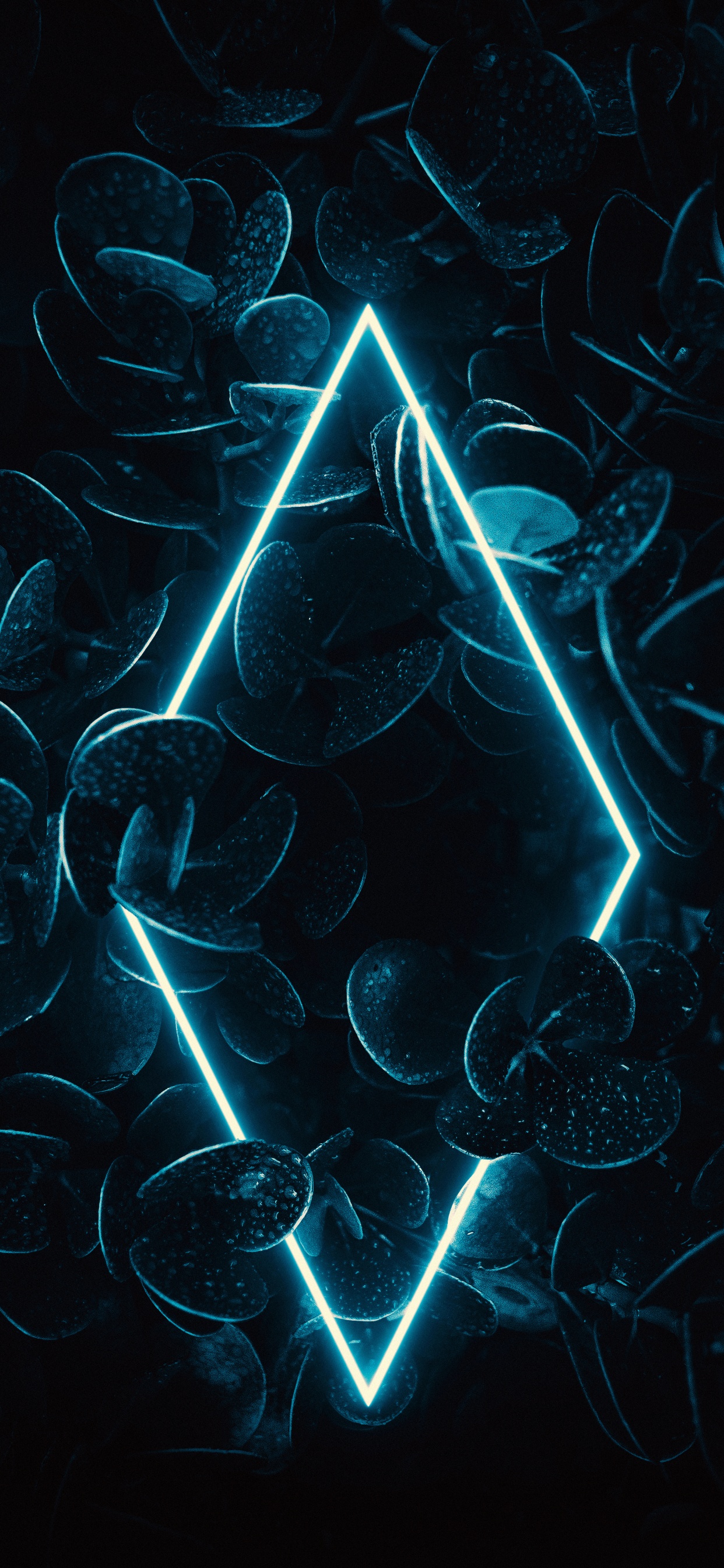 Обои фрактальное искусство, вода, лазурный, арт, Аква в разрешении 1242x2688