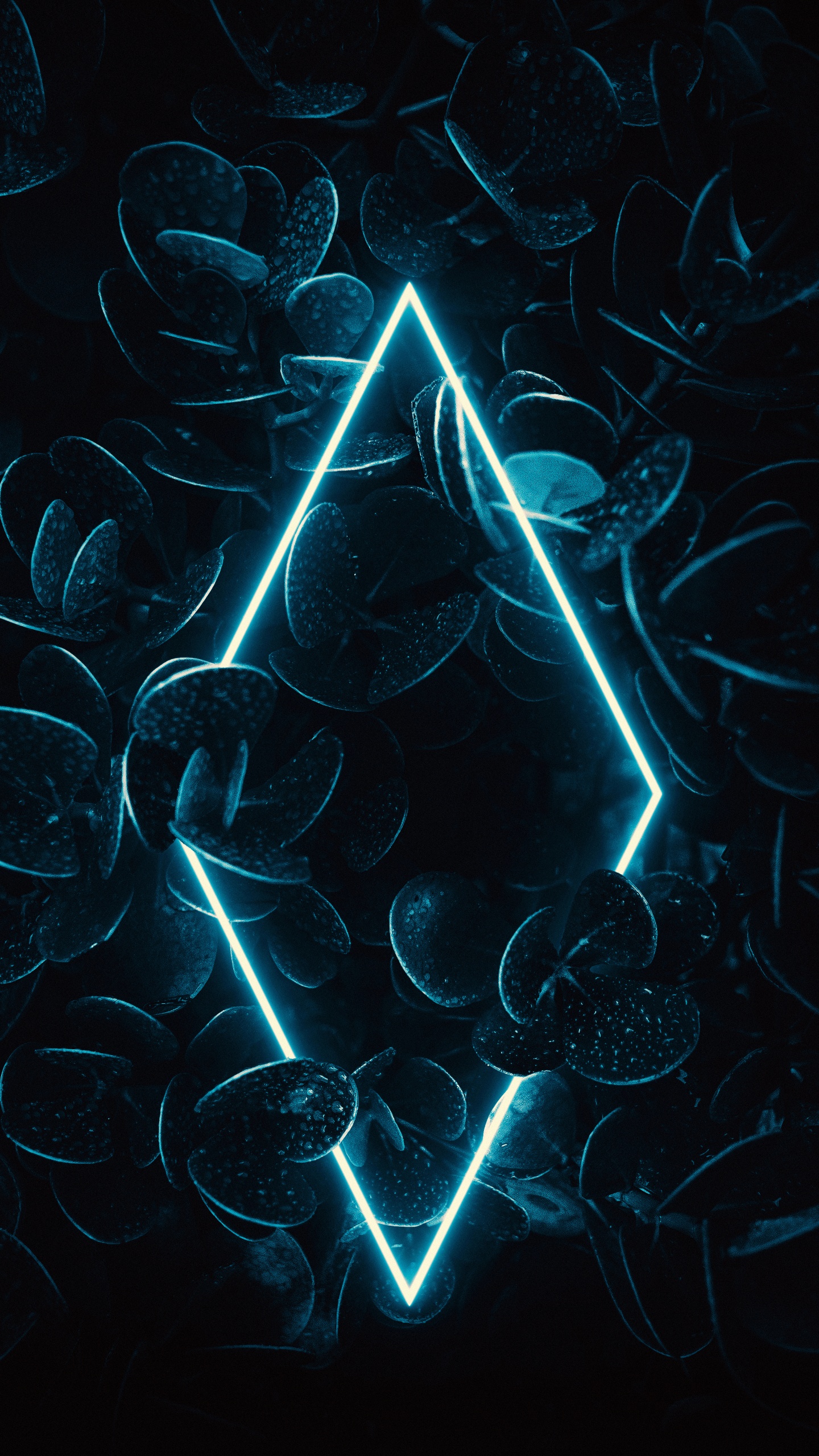 Обои фрактальное искусство, вода, лазурный, арт, Аква в разрешении 1440x2560