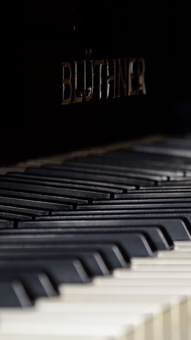 Обои фортепьяно, клавиатура, рояль, синтезатор, музыкальный инструмент в разрешении 750x1334