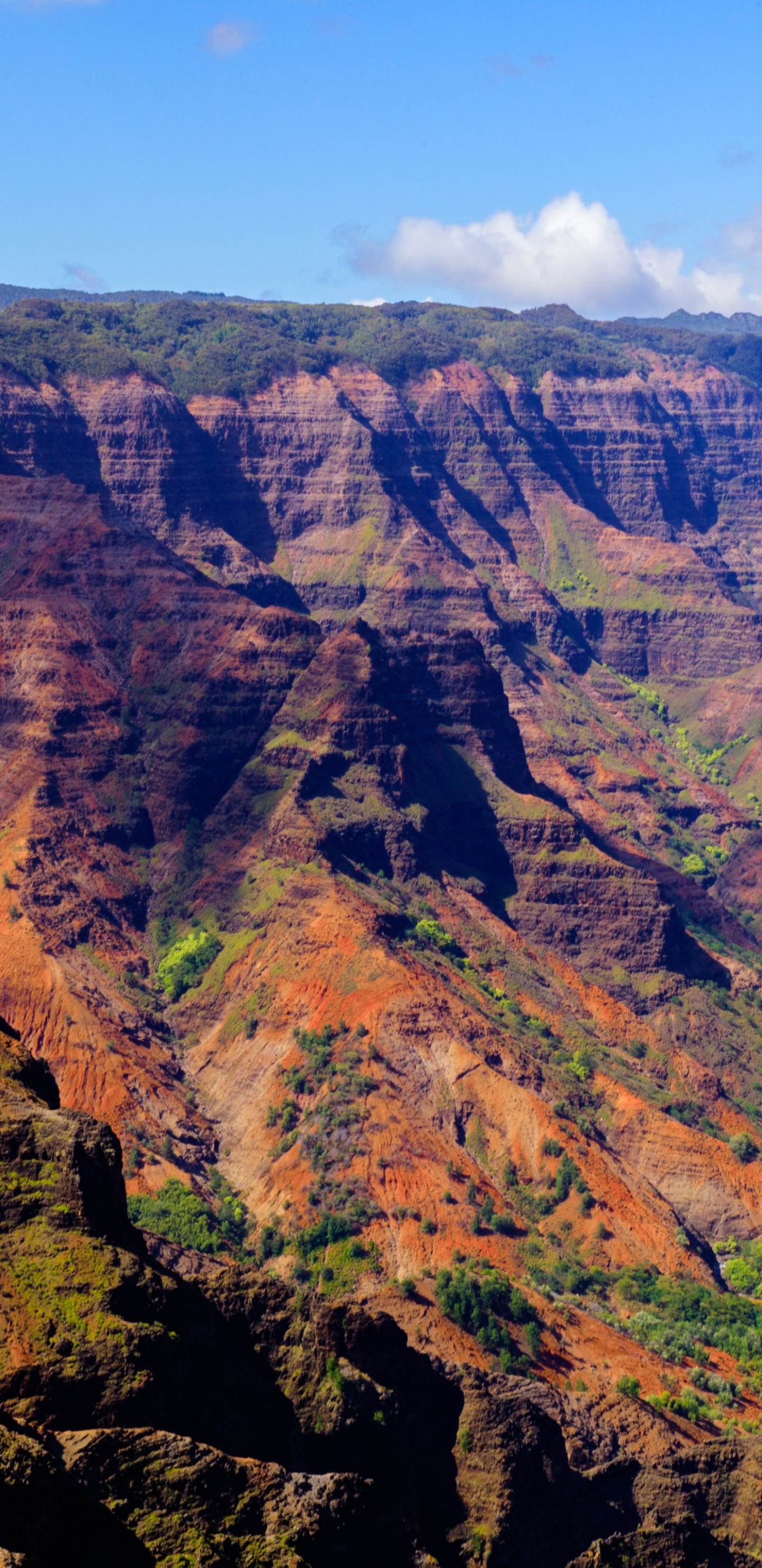 Обои каньон, национальный парк, бесплодные земли, откос, дикая местность в разрешении 1440x2960