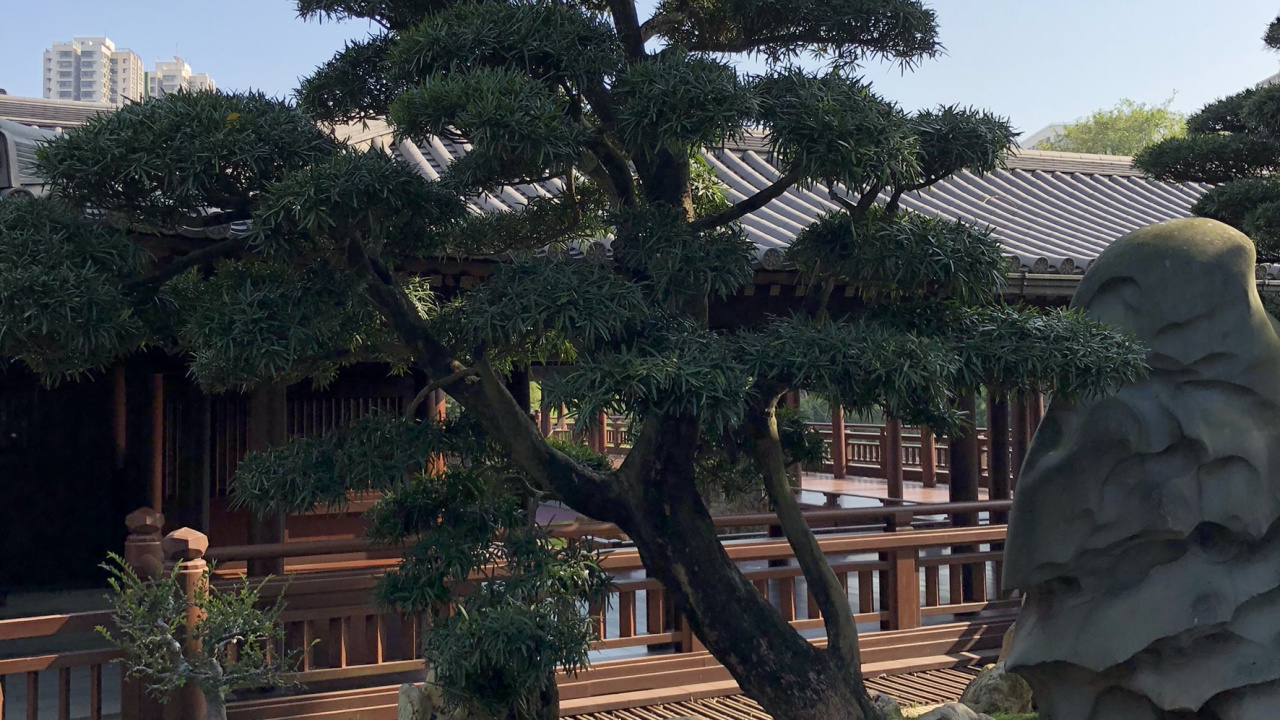 Обои Гонконг, биом, биология, наука, экология в разрешении 1280x720