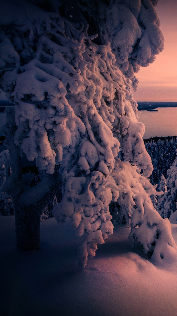 Обои облако, атмосфера, снег, мир, природный ландшафт в разрешении 720x1280