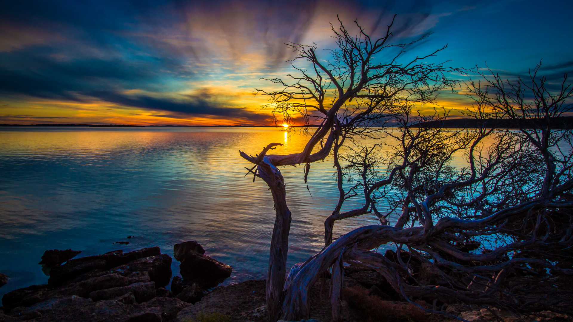 Обои закат, австралия, природа, восход солнца, дерево в разрешении 1920x1080