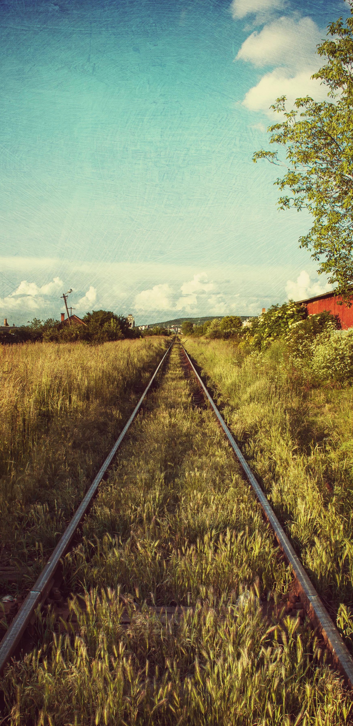 Обои трек, железнодорожный транспорт, железнодорожный путь, елезнин тра, железная дорога в разрешении 1440x2960