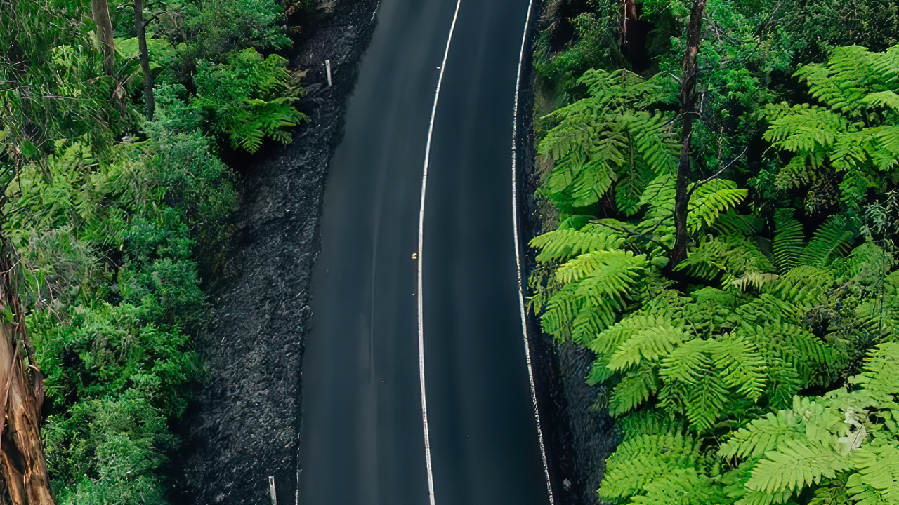 Обои природа, растение, растительное сообщество, экорегион, природный ландшафт в разрешении 1280x720
