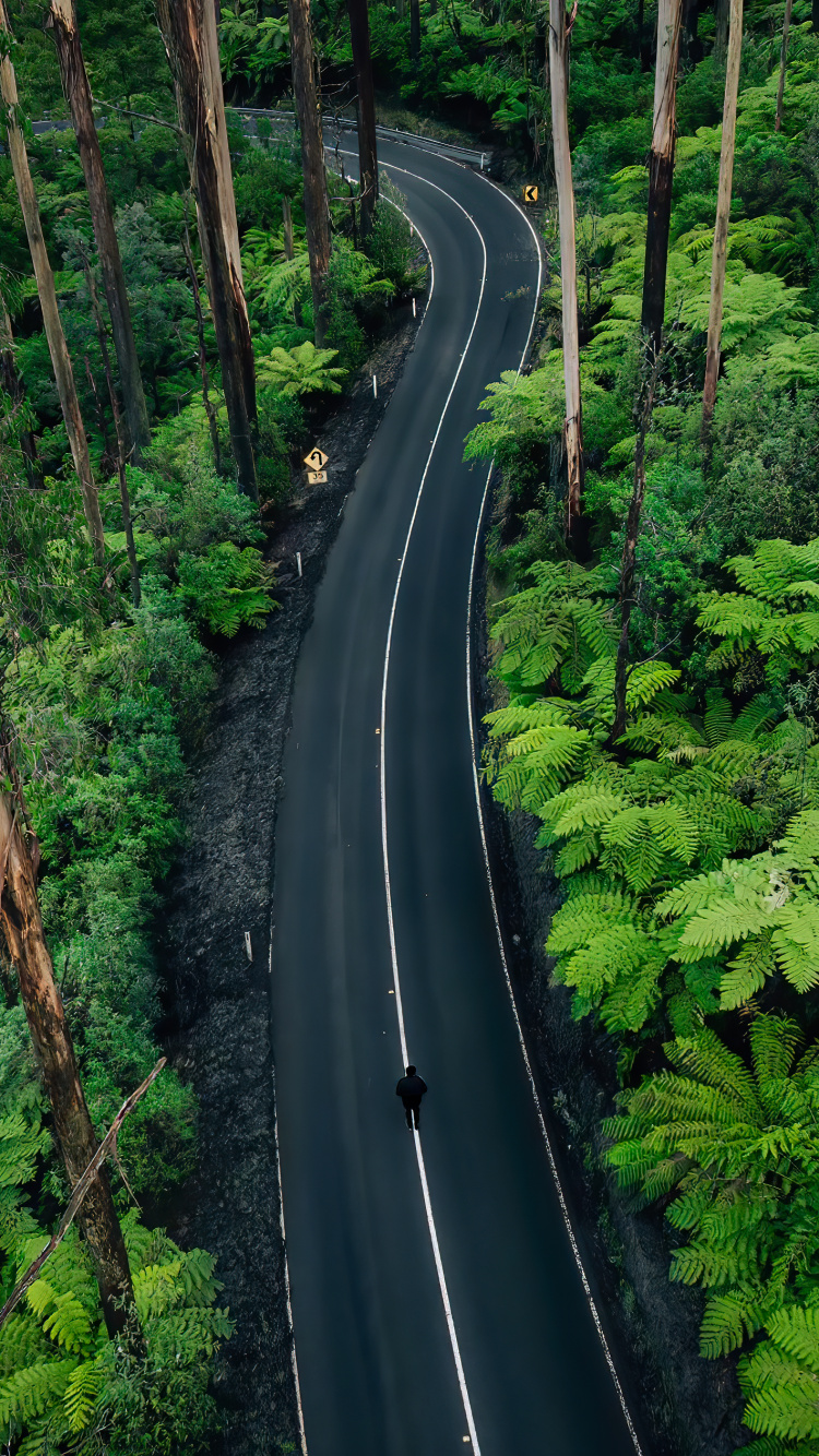 Обои природа, растение, растительное сообщество, экорегион, природный ландшафт в разрешении 750x1334