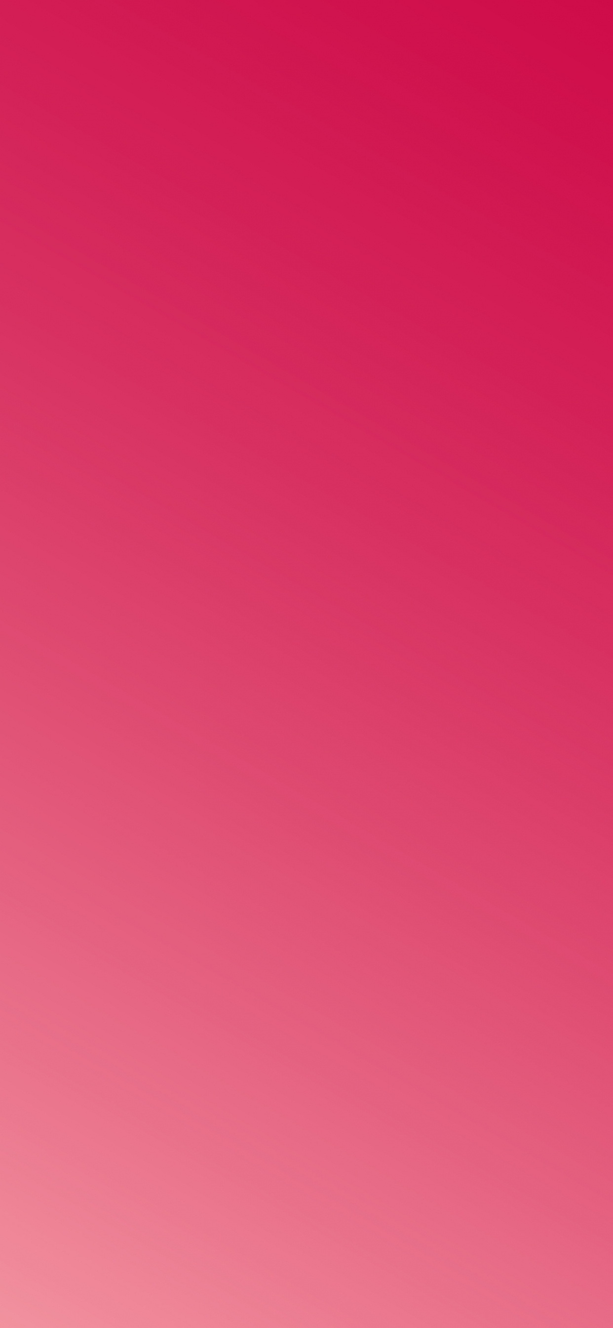 Обои лепесток, любовь, небо, цветок, красный цвет в разрешении 1242x2688