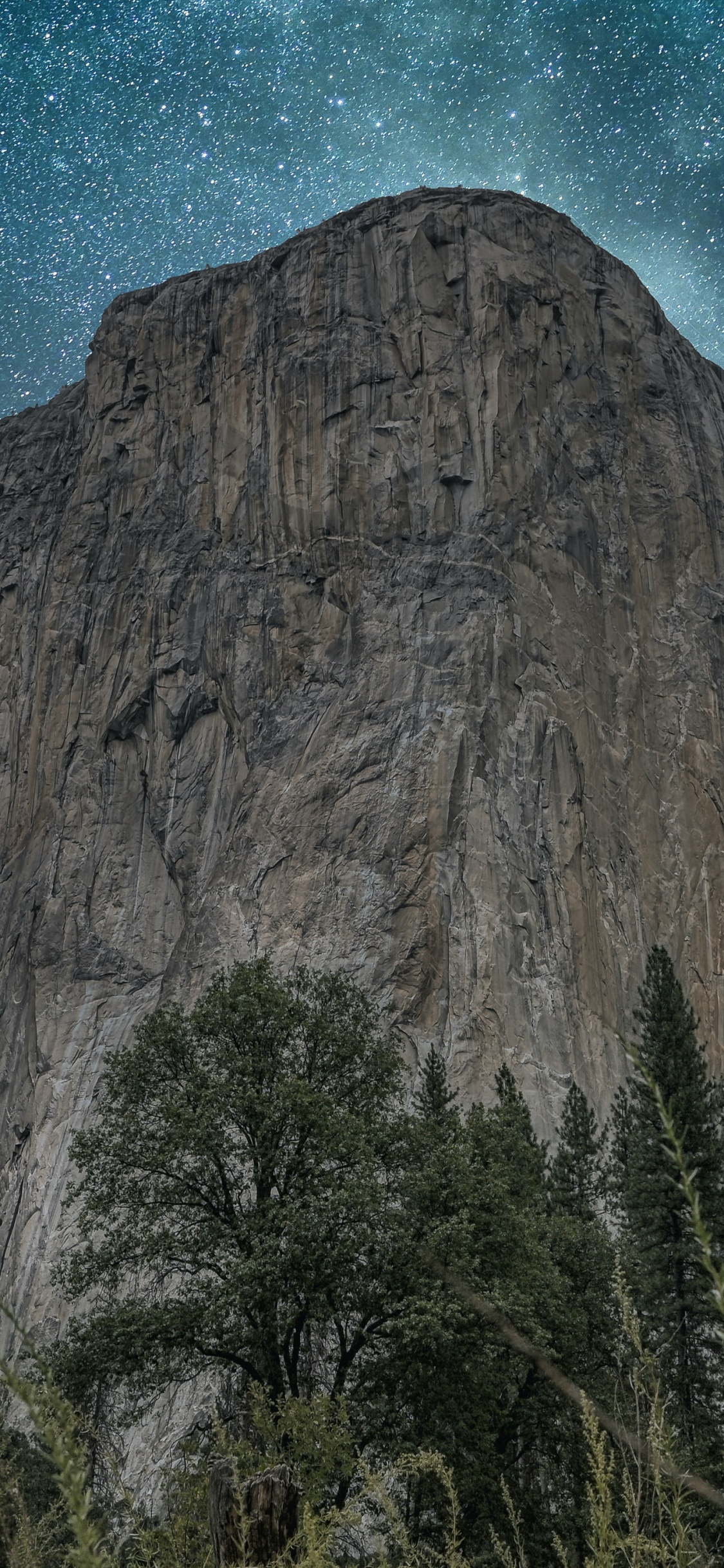 Обои природа, гора, растение, природный ландшафт, мир в разрешении 1125x2436