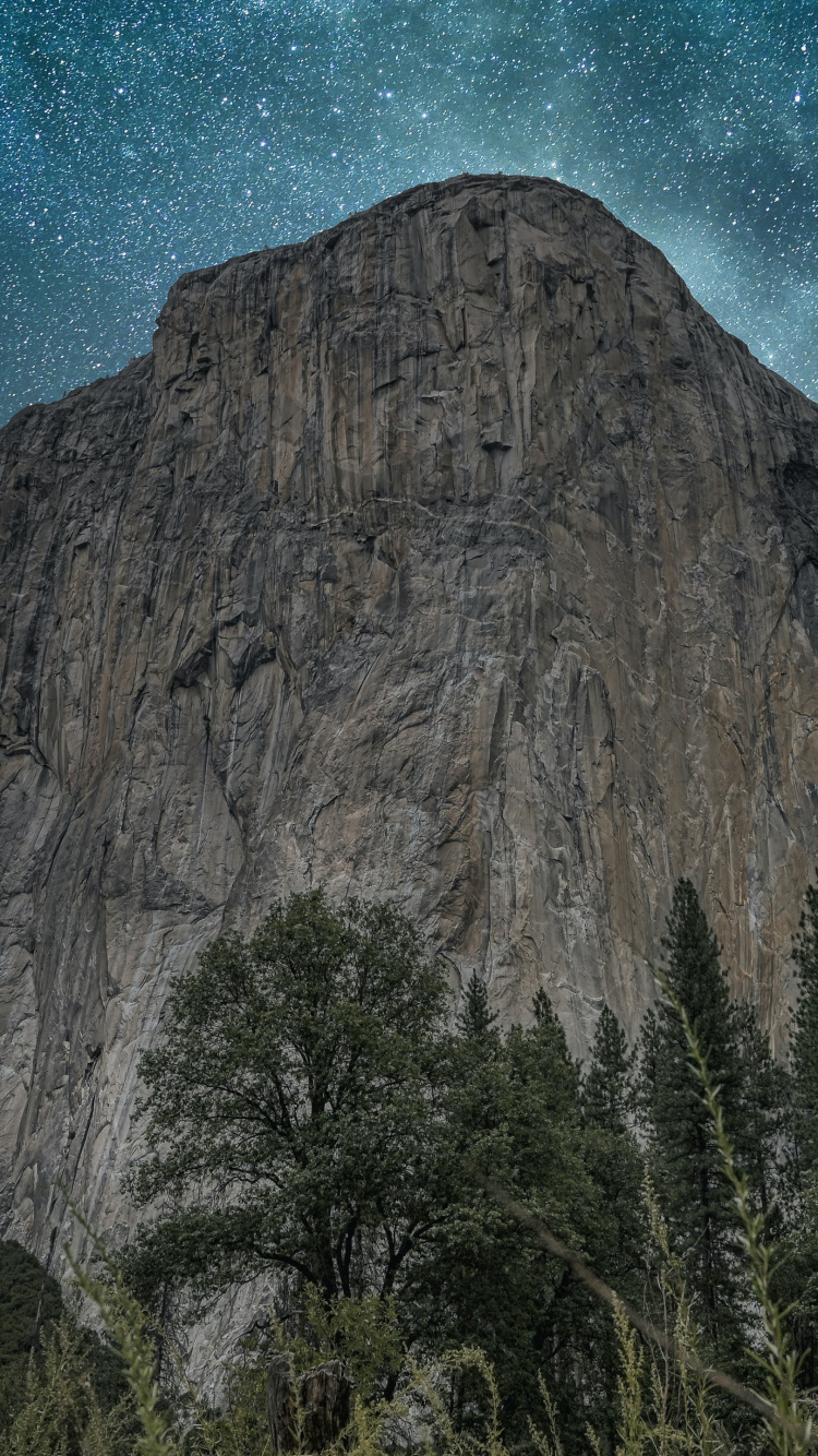 Обои природа, гора, растение, природный ландшафт, мир в разрешении 750x1334