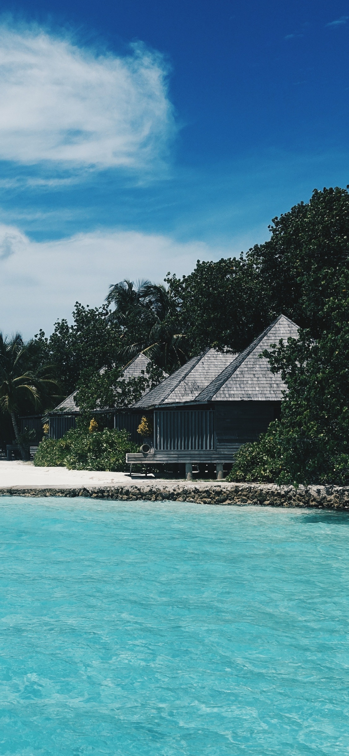 Обои Гангехи, пляж, прибежище, тропическая зона, море в разрешении 1125x2436