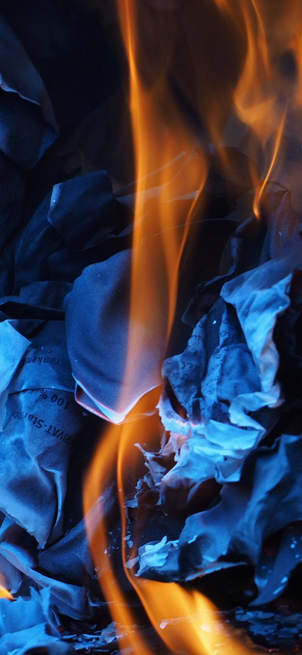 Обои огонь, тепло, желтый, синий цвет, синий в разрешении 1242x2688