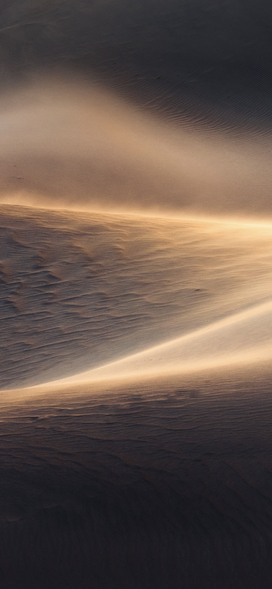 Обои Golden, sandy “Dunes” texture в разрешении 1125x2436