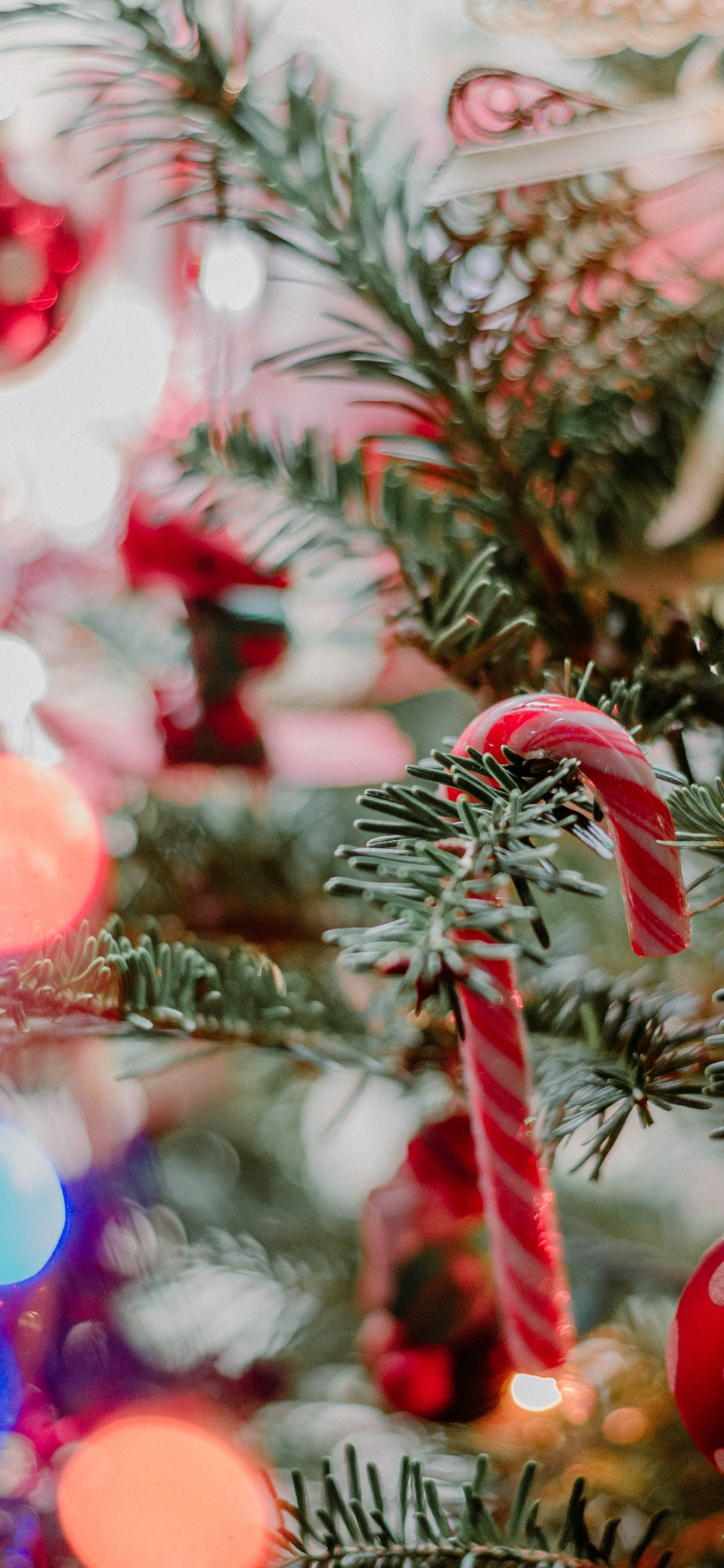 Обои Рождество, пихта, Рождество и курортный сезон, ветвь, древесные растения в разрешении 1242x2688