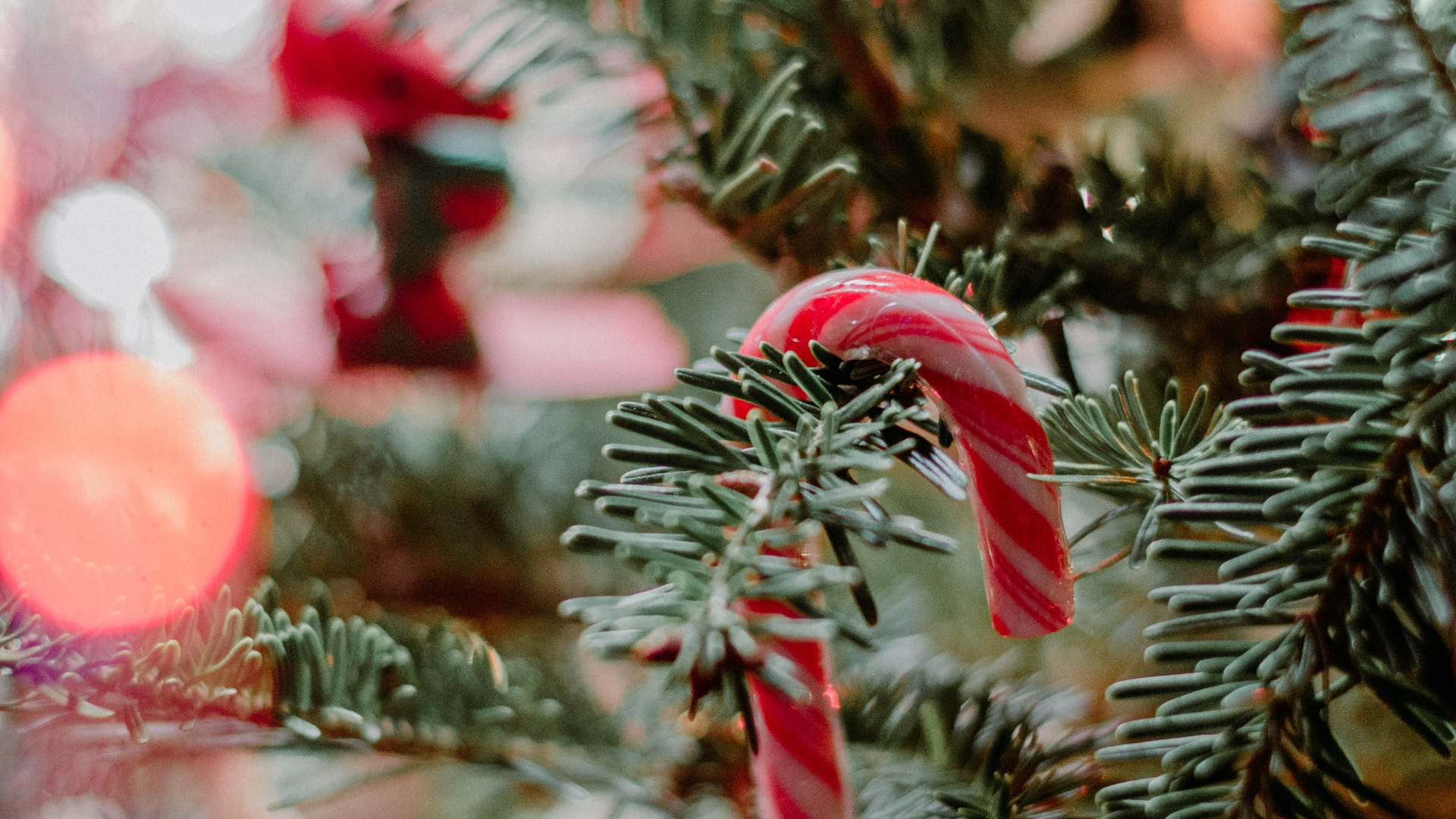 Обои Рождество, пихта, Рождество и курортный сезон, ветвь, древесные растения в разрешении 1920x1080