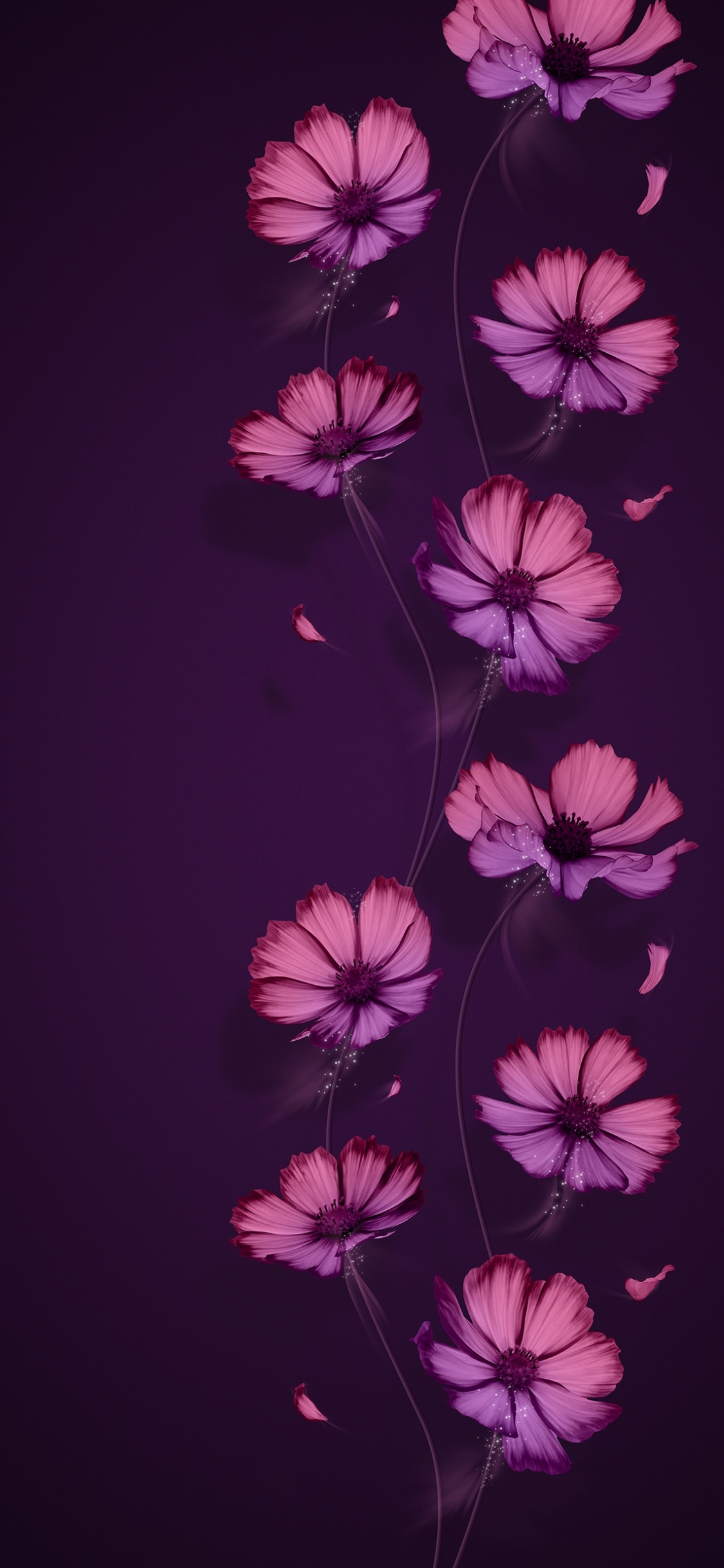 Обои главный театр, цветок, растение, пурпур, лепесток в разрешении 1125x2436