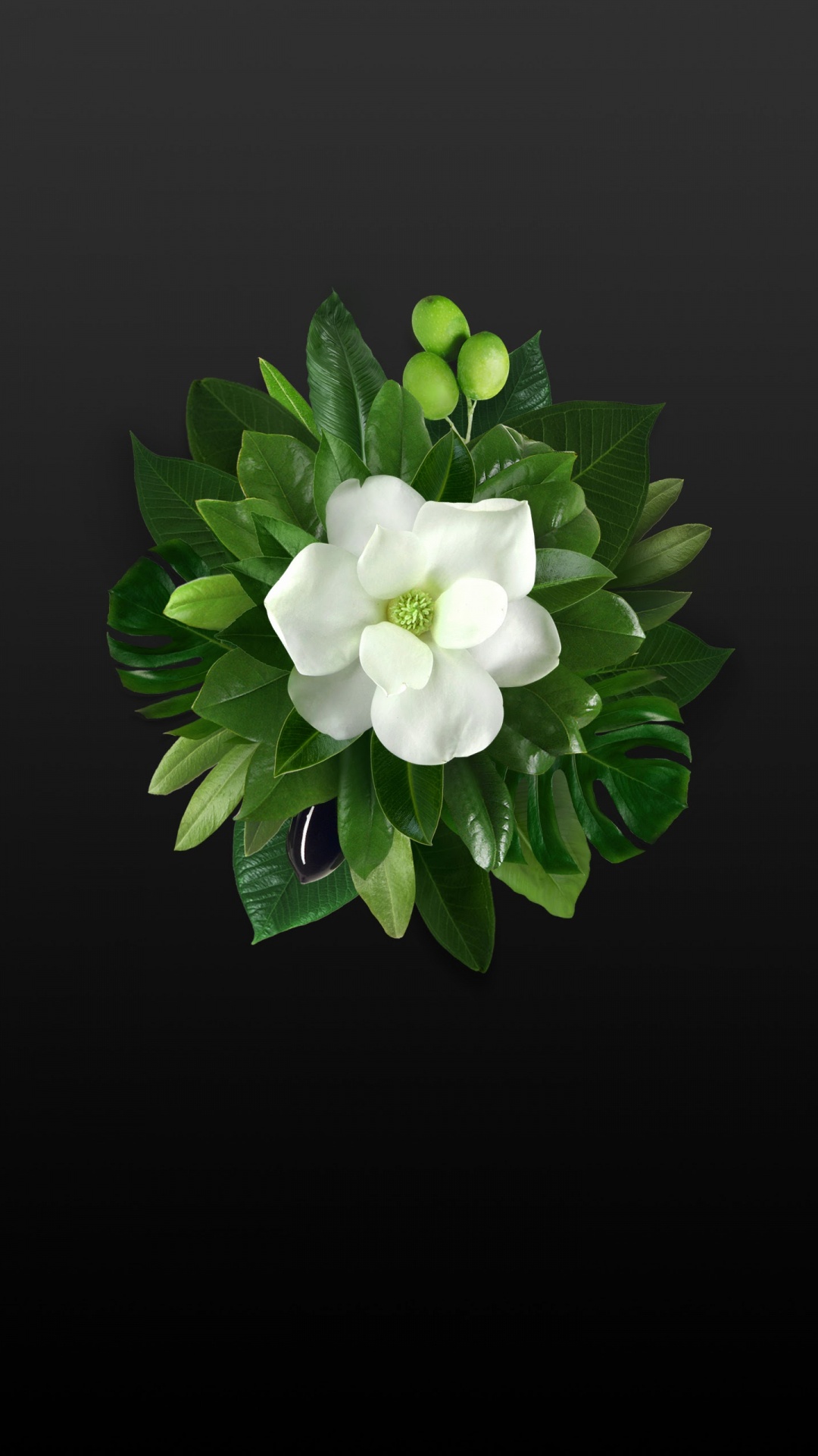 Обои Huawei, Huawei Mate, Huawei Mate 10, сток huawei mate 10 pro, Huawei Mate 10 Pro в разрешении 1080x1920