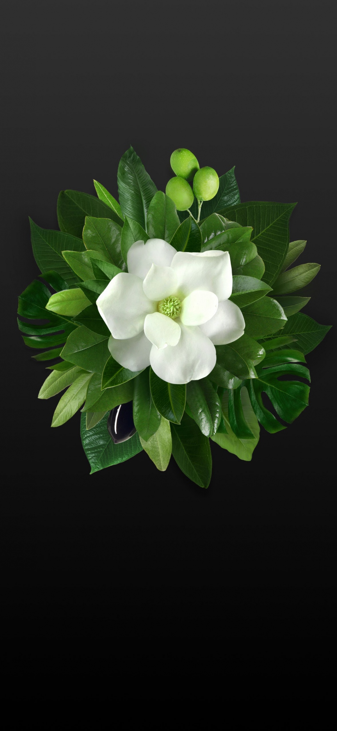 Обои Huawei, Huawei Mate, Huawei Mate 10, сток huawei mate 10 pro, Huawei Mate 10 Pro в разрешении 1125x2436