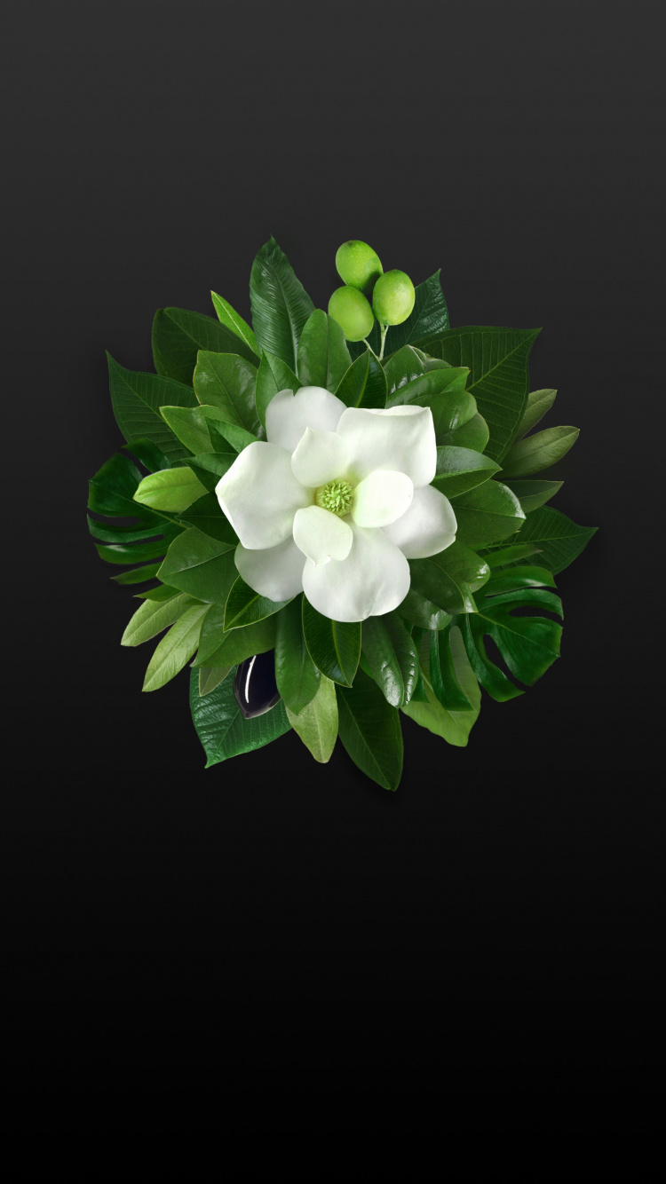 Обои Huawei, Huawei Mate, Huawei Mate 10, сток huawei mate 10 pro, Huawei Mate 10 Pro в разрешении 750x1334