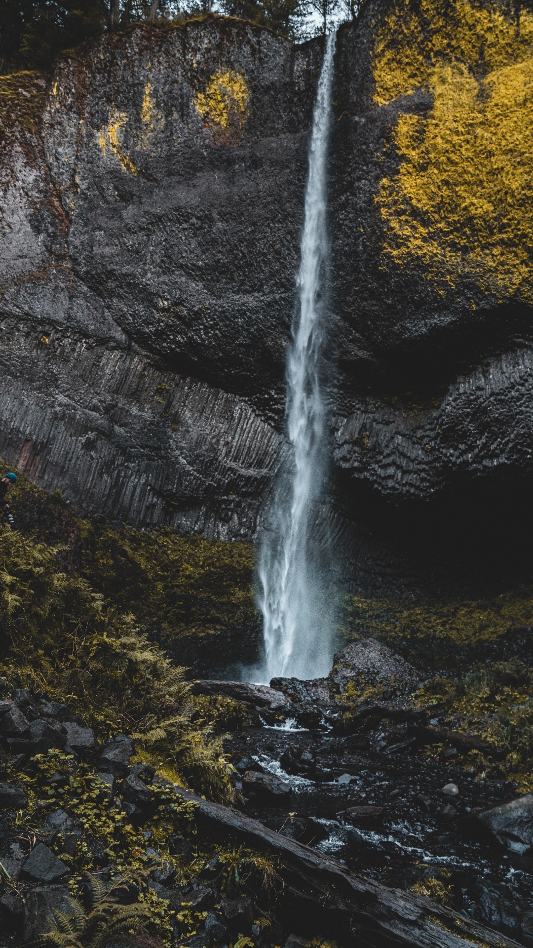 Обои потоковое мультимедиа, поток, рок, водоток, лист в разрешении 1080x1920