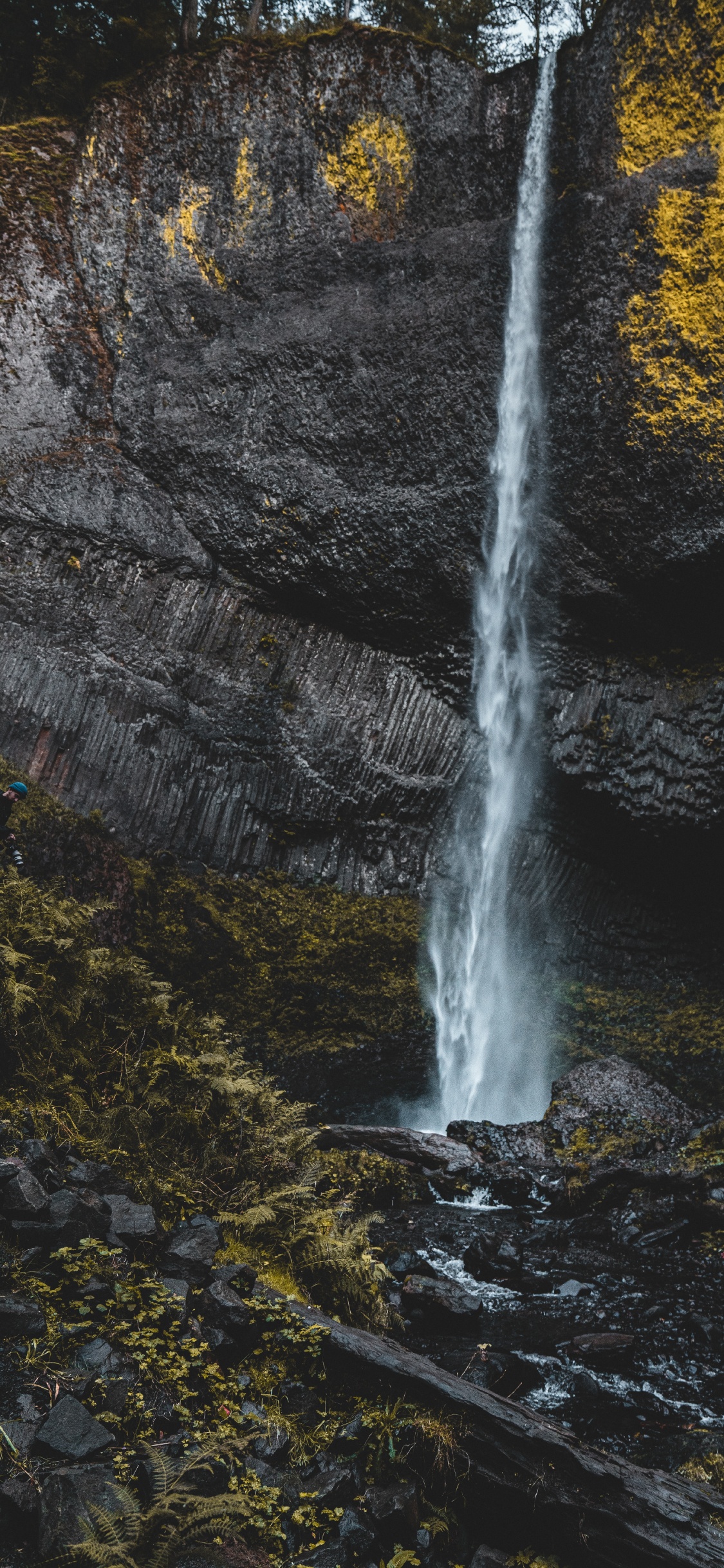 Обои потоковое мультимедиа, поток, рок, водоток, лист в разрешении 1125x2436