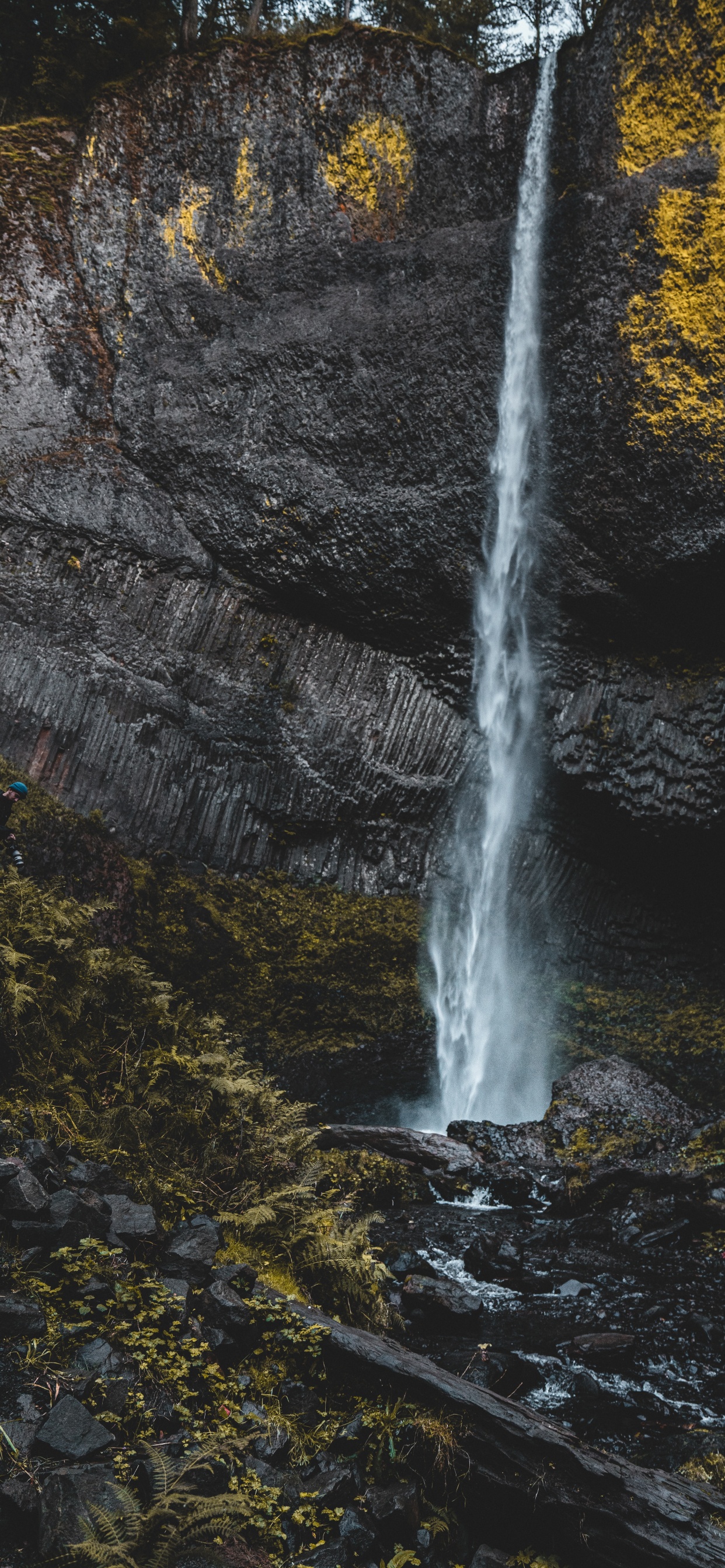 Обои потоковое мультимедиа, поток, рок, водоток, лист в разрешении 1242x2688