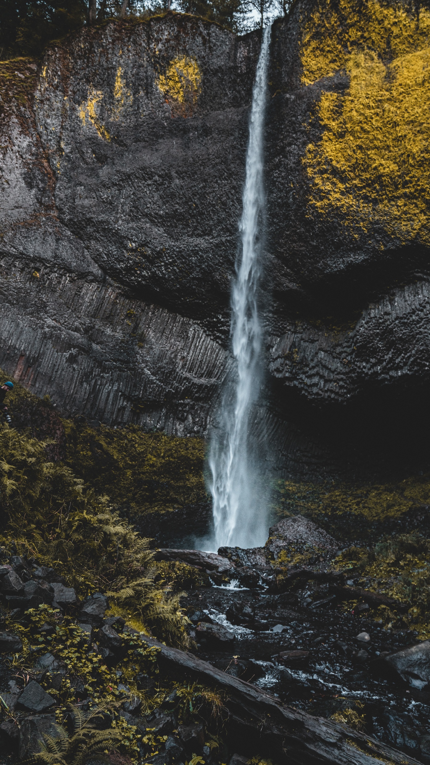 Обои потоковое мультимедиа, поток, рок, водоток, лист в разрешении 1440x2560