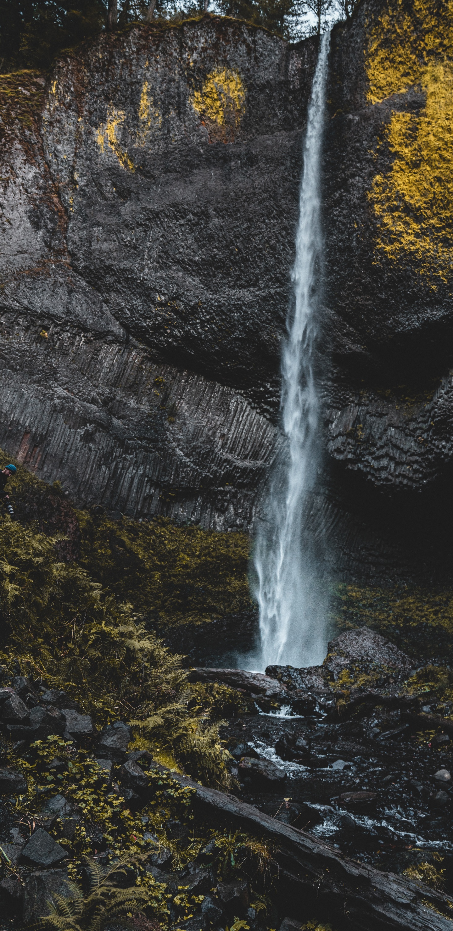 Обои потоковое мультимедиа, поток, рок, водоток, лист в разрешении 1440x2960