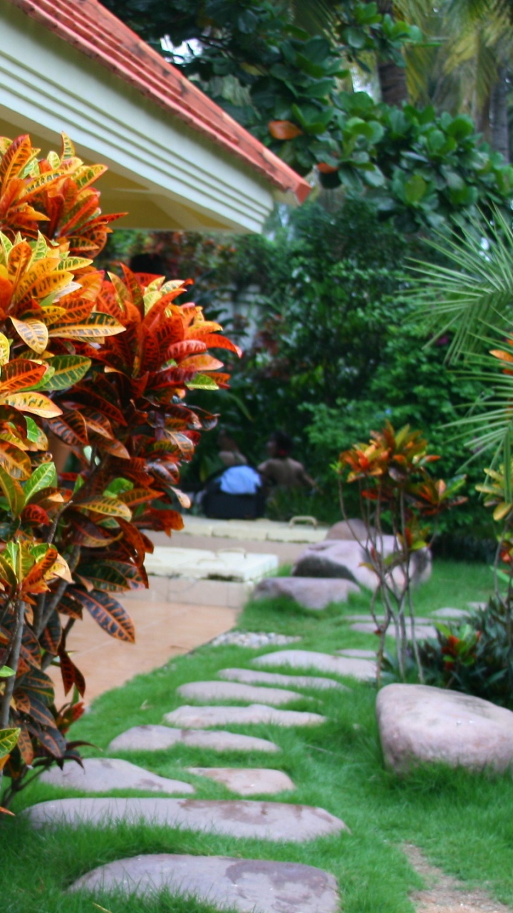 Обои природа, остров Хайнань, отдых, цветок, растение в разрешении 720x1280