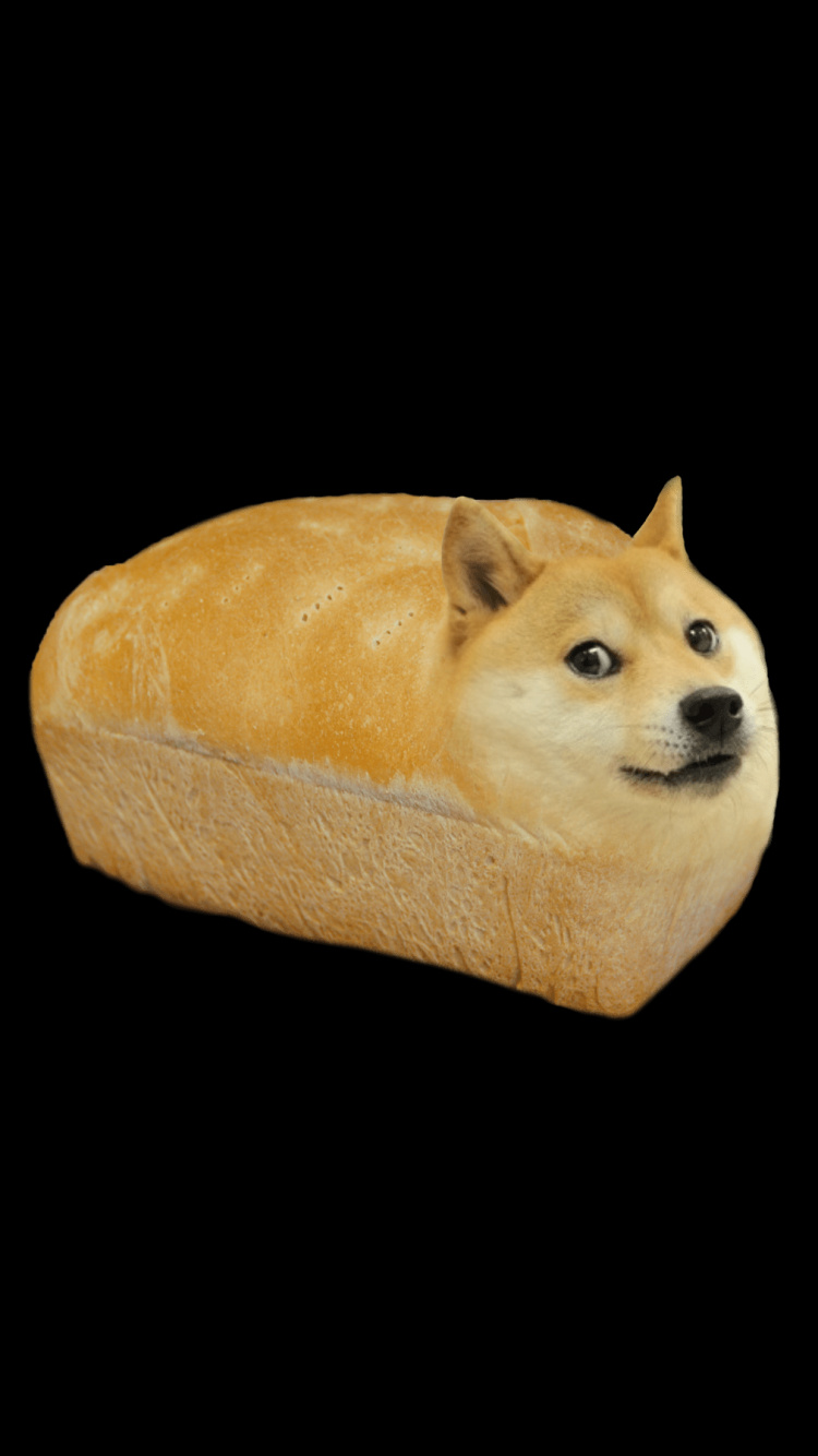 Обои морда, Псовые, бакенбарды, пес, собака породы в разрешении 750x1334