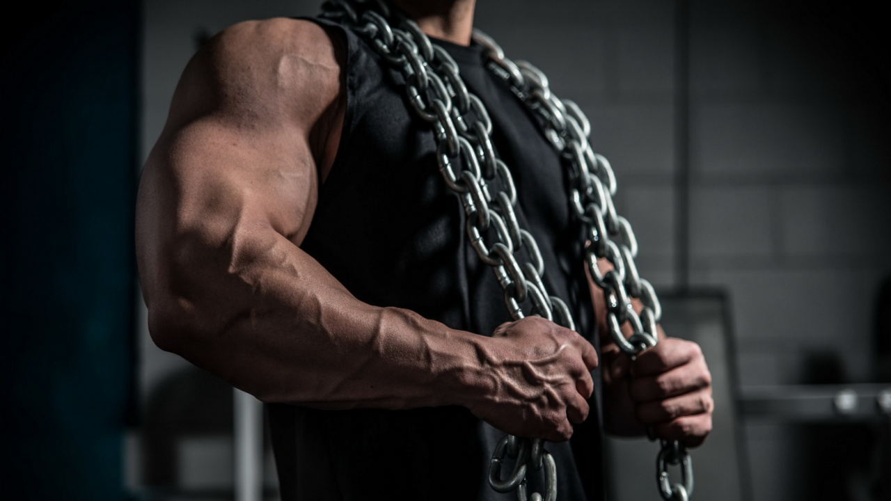 Обои мышца, рука, Бодибилдинг, сундук, шея в разрешении 1280x720
