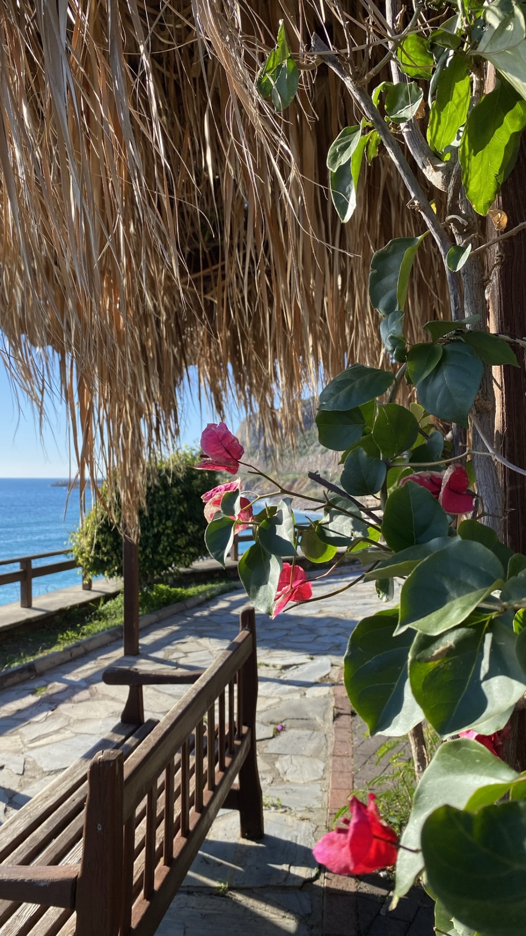 Обои отпуск, вода, растение, тень, настилая в разрешении 1080x1920