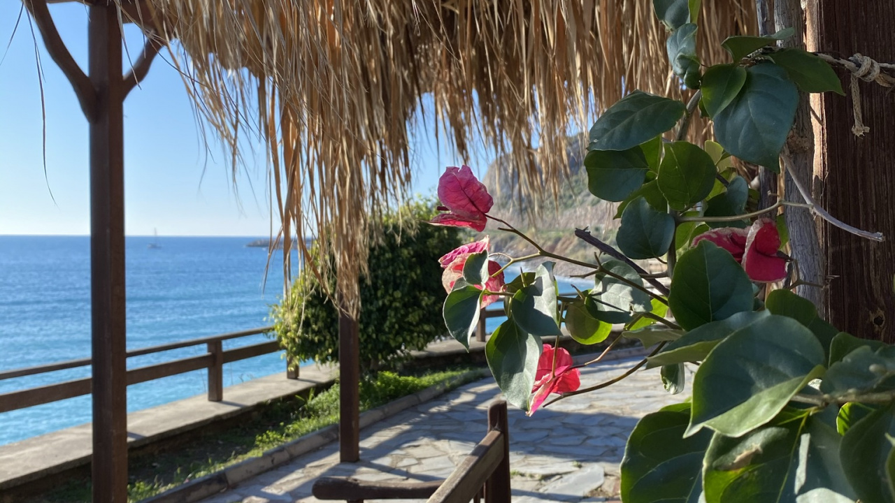 Обои отпуск, вода, растение, тень, настилая в разрешении 1280x720