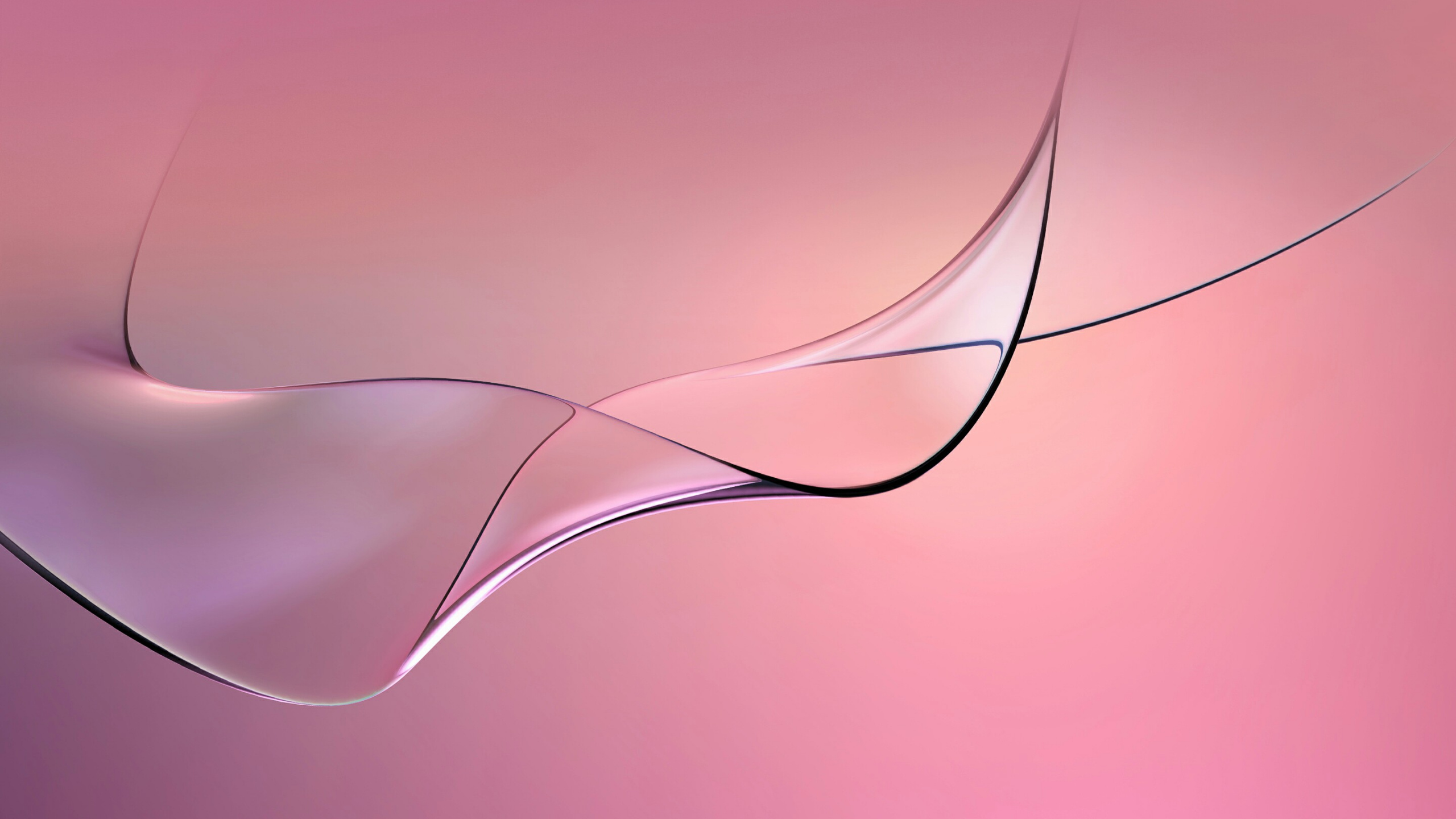 Обои розовый, линия, графика, крупный план, свет в разрешении 2560x1440