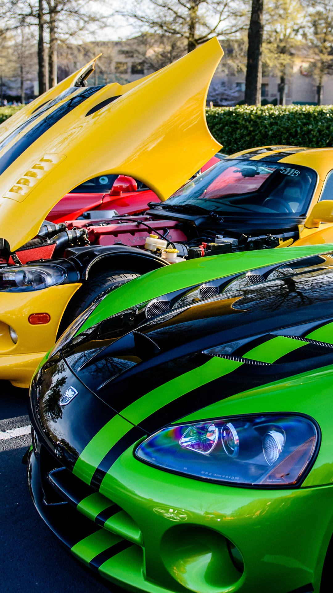 Обои спорткар, уловка Viper, авто, dodge, зеленый в разрешении 1080x1920