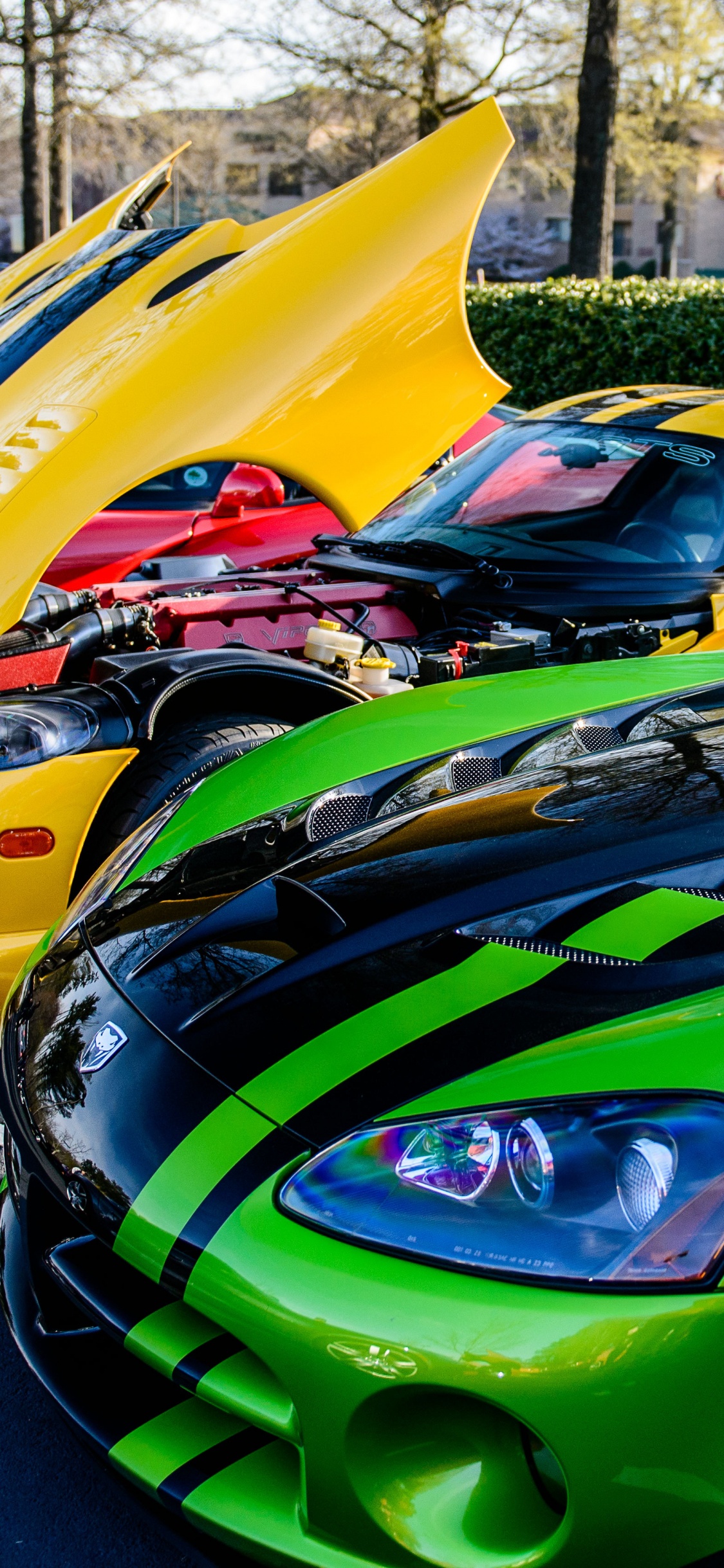 Обои спорткар, уловка Viper, авто, dodge, зеленый в разрешении 1125x2436