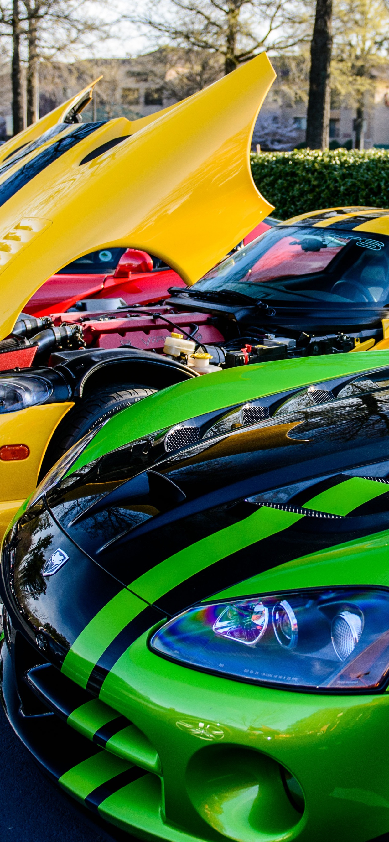 Обои спорткар, уловка Viper, авто, dodge, зеленый в разрешении 1242x2688