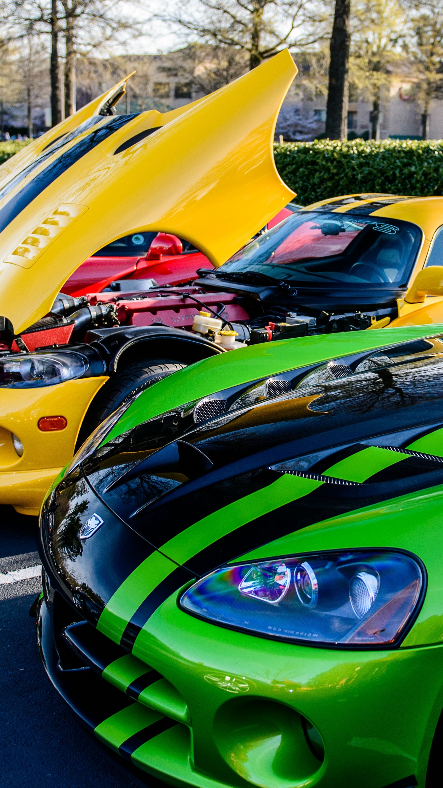 Обои спорткар, уловка Viper, авто, dodge, зеленый в разрешении 1440x2560