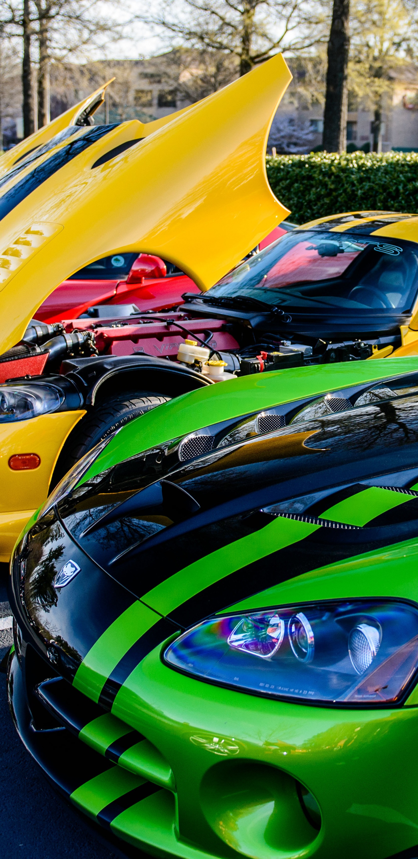 Обои спорткар, уловка Viper, авто, dodge, зеленый в разрешении 1440x2960