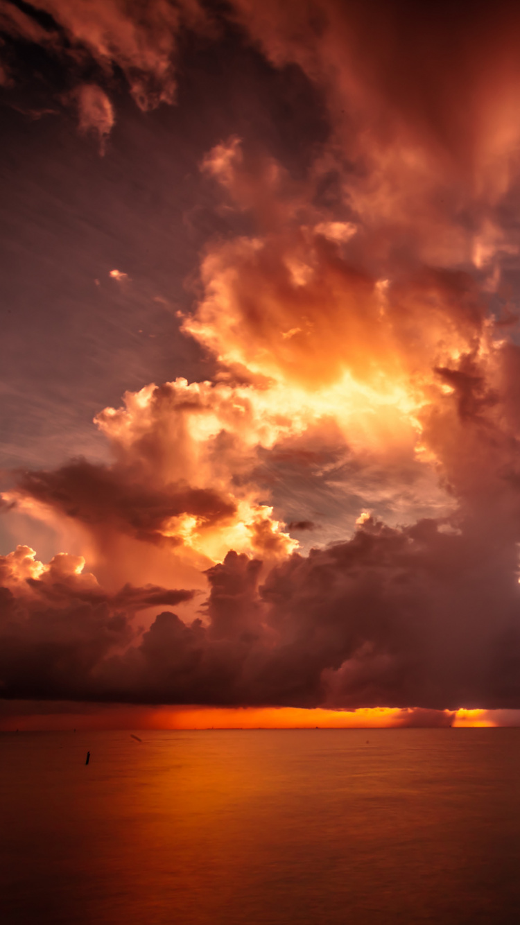 Обои закат, облако, горизонт, вечер, кучевое облако в разрешении 750x1334