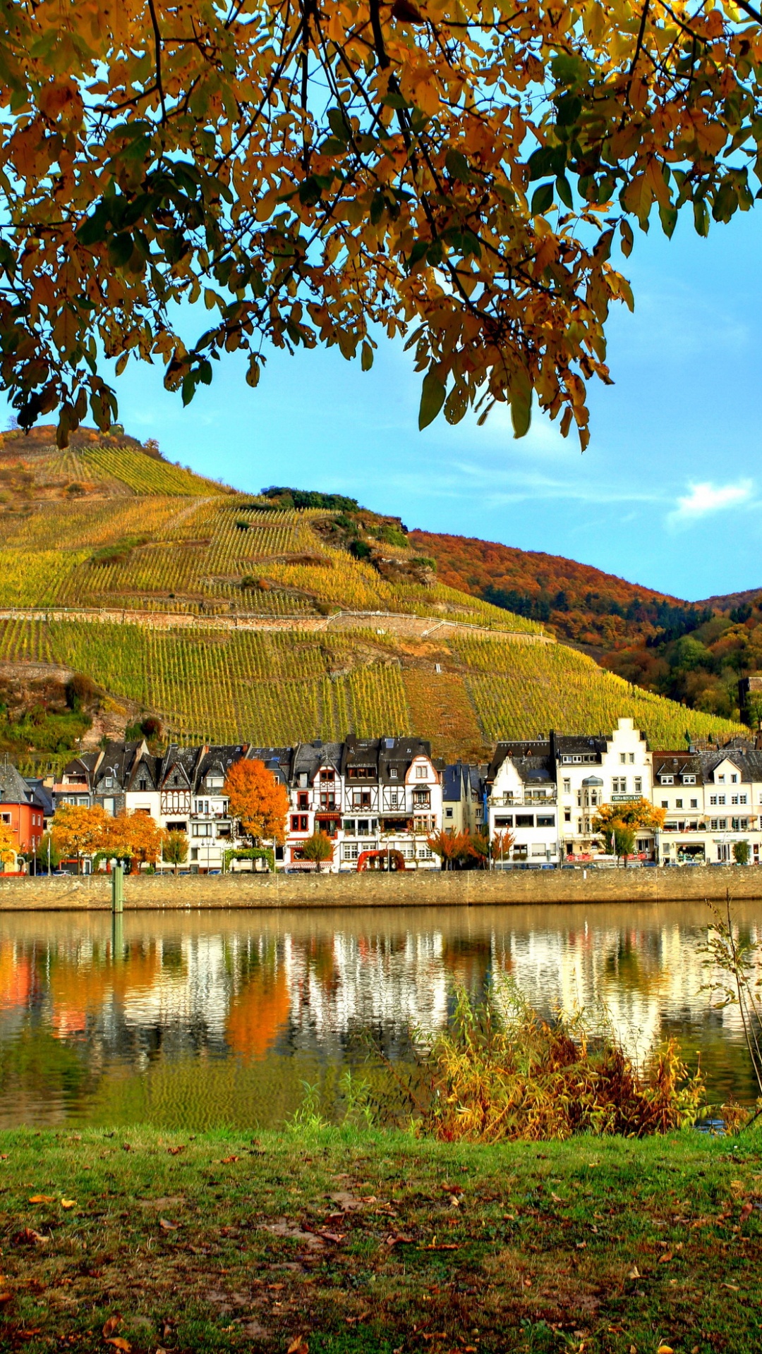 Обои природа, отражение, озеро, дерево, осень в разрешении 1080x1920