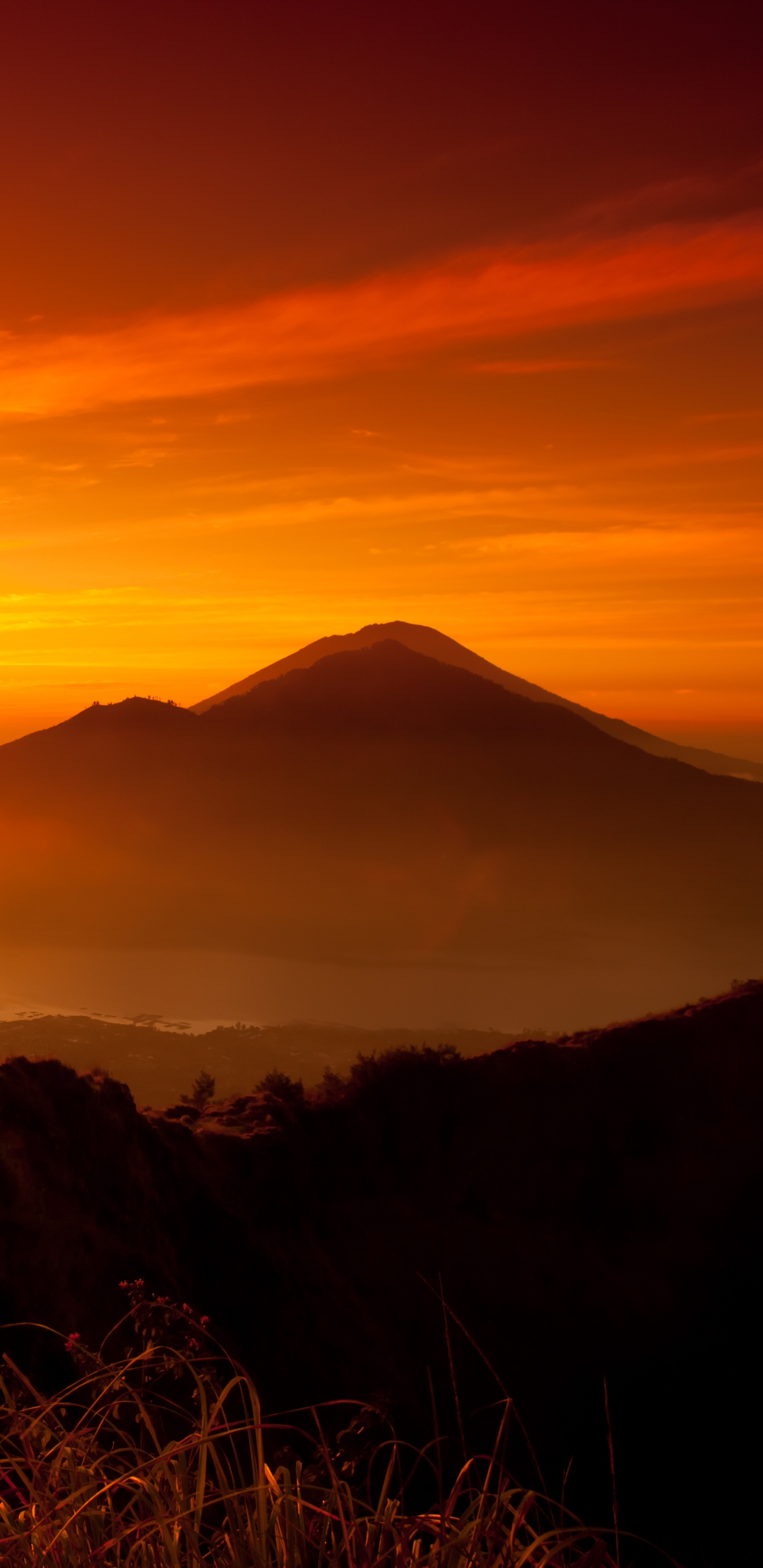 Обои восход солнца, закат, послесвечение, природа, утро в разрешении 1440x2960