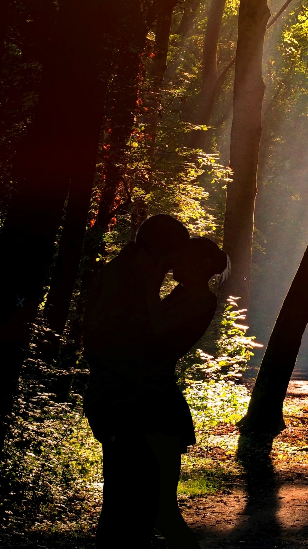 Обои атмосфера, растение, Люди в природе, окружающая среда, ветвь в разрешении 1080x1920