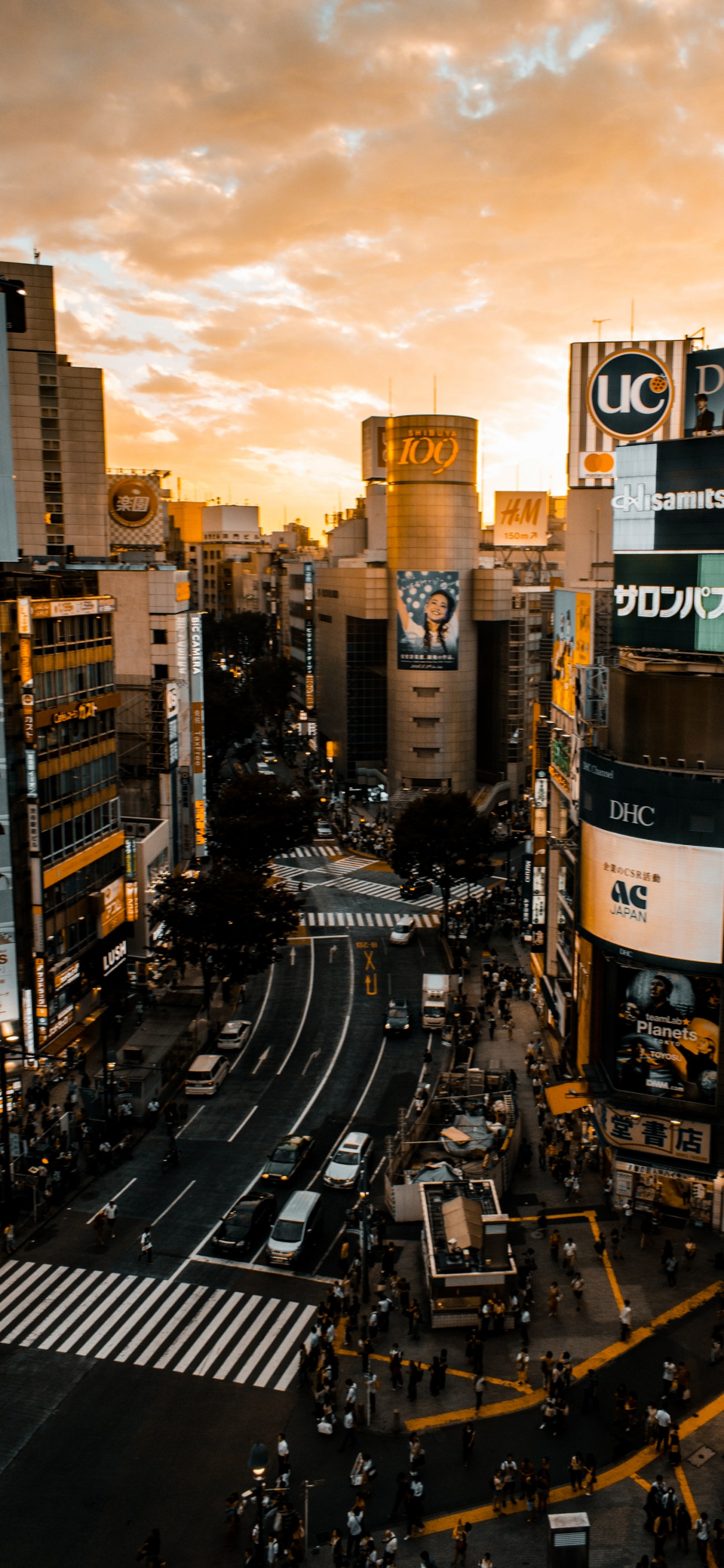 Обои облако, здание, небоскреб, легковые автомобили, свет в разрешении 1242x2688