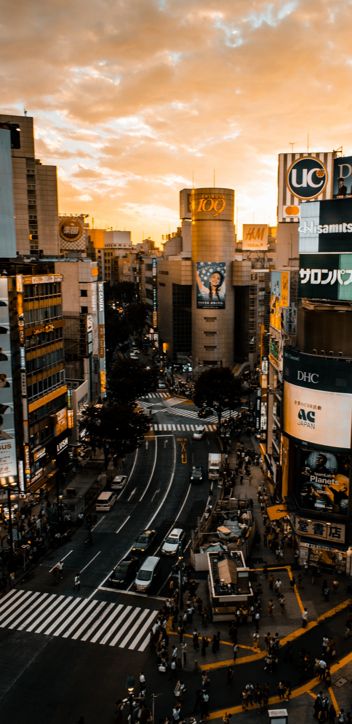 Обои облако, здание, небоскреб, легковые автомобили, свет в разрешении 1440x2960