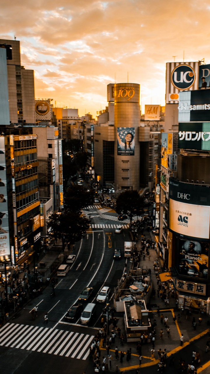 Обои облако, здание, небоскреб, легковые автомобили, свет в разрешении 720x1280