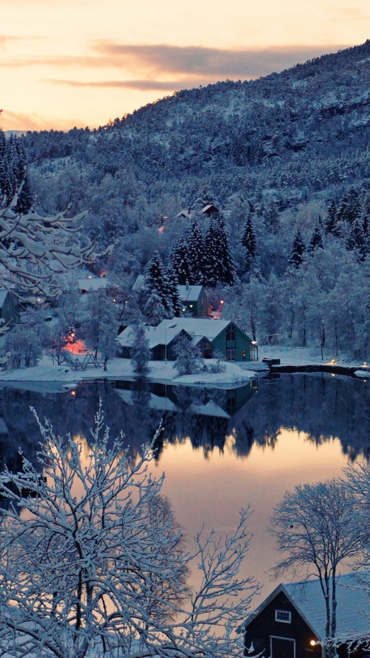 Обои снег, лес, зима, природа, отражение в разрешении 720x1280