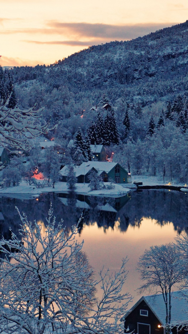 Обои снег, лес, зима, природа, отражение в разрешении 750x1334