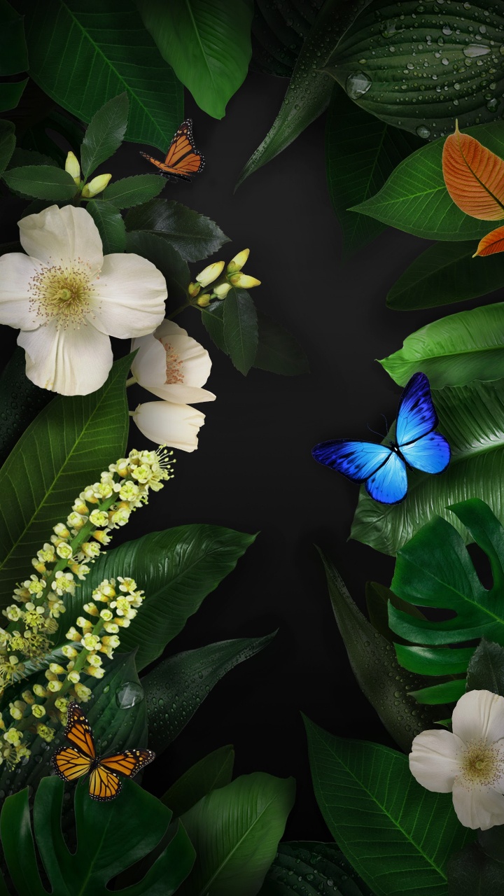 Обои Huawei, Huawei Mate, Huawei Mate 10, зеленый коврик, Huawei Mate 10 Pro в разрешении 720x1280