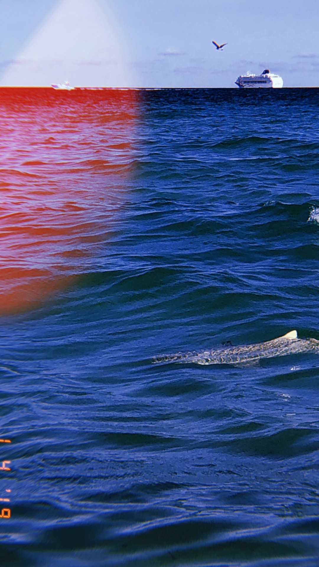 Обои море, океан, жидкость, жидкий, красочность в разрешении 1080x1920