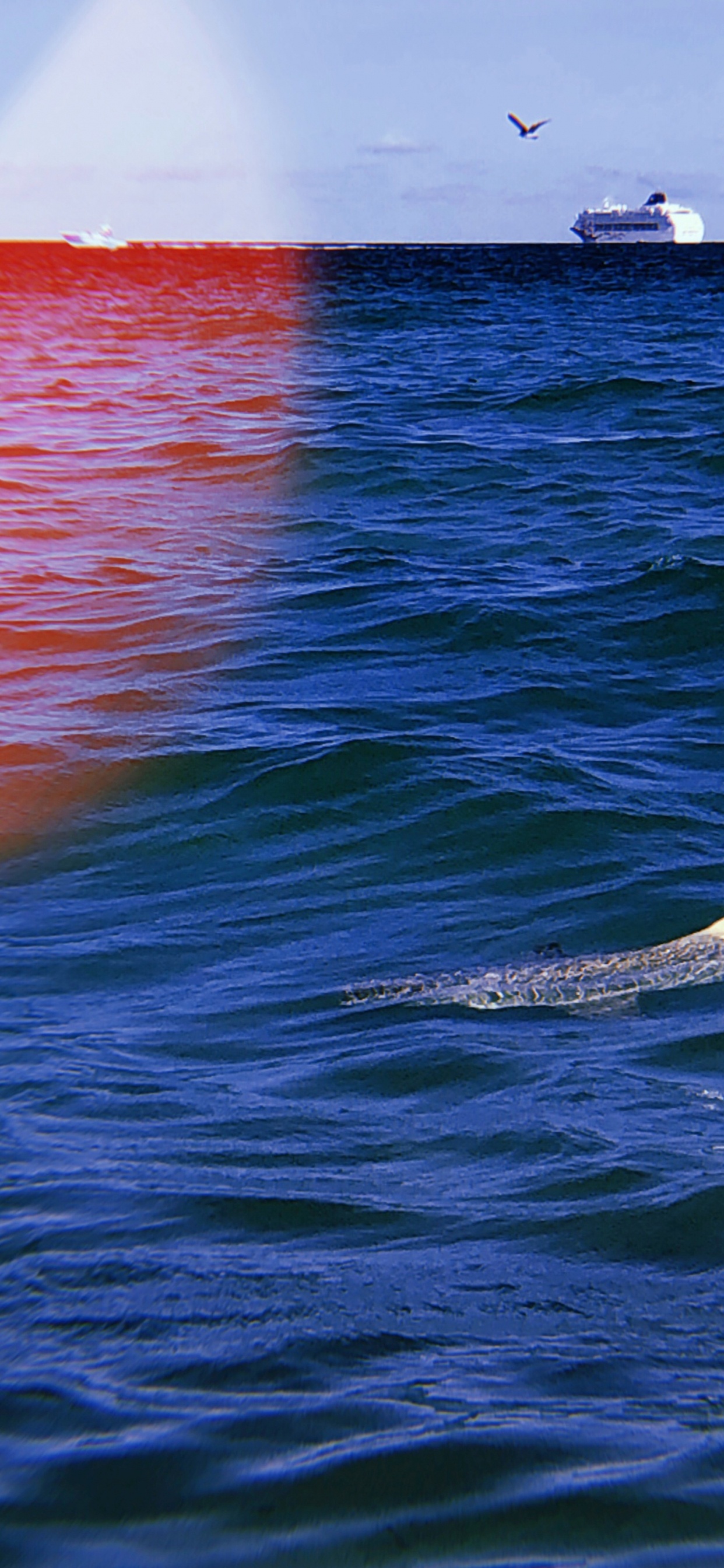 Обои море, океан, жидкость, жидкий, красочность в разрешении 1242x2688